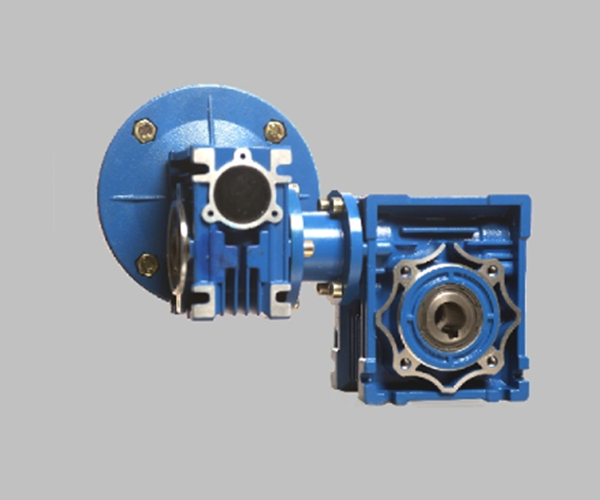 Double Worm speed reducer